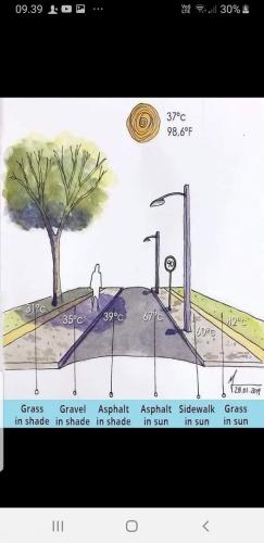 street temperature