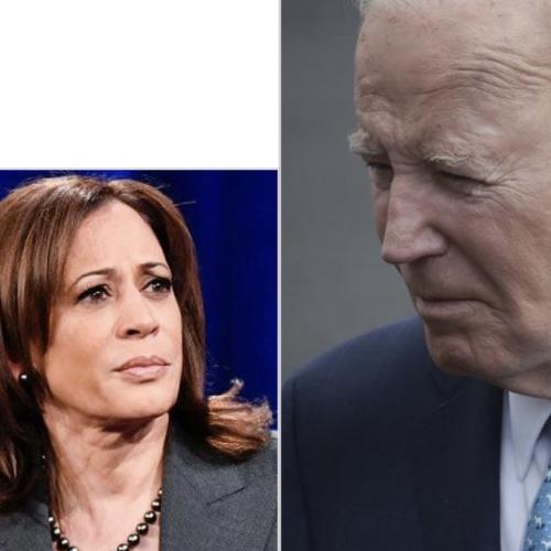 83FEBE58-C5BB-4C3E-8DBB-A7D9B9161A27