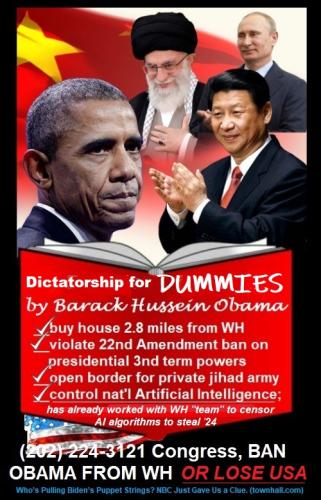 DICTATORSHIP FOR DUMMIES