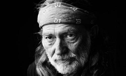 willie nelson pot