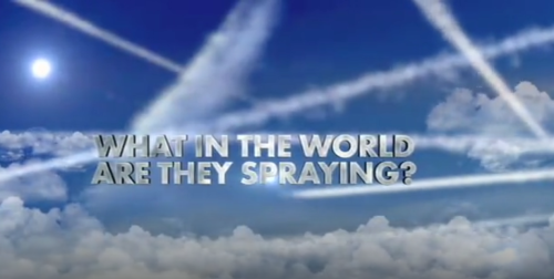 Screenshot_20240512-224315~2