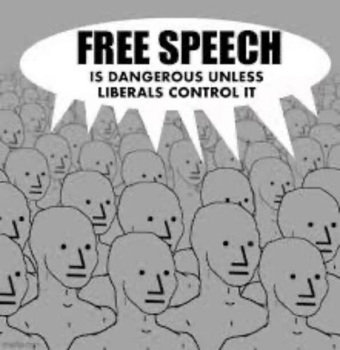 Free Speech Dangerous to Democracy 1