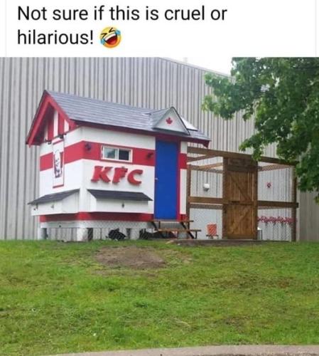 100843184_3515377135159239_2364028335626911744_n