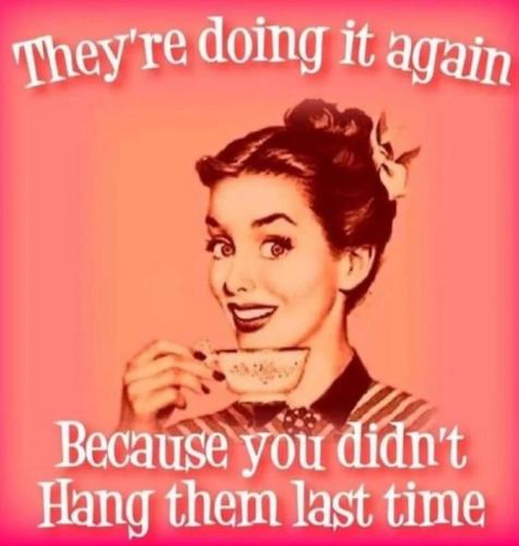 9BC3DB97-66DD-40AE-B3FF-ECB35008E1DE