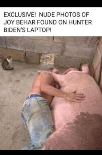 Screenshot_20240501_210009_Wimkin Free Speech Social Media