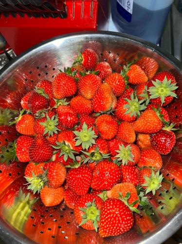 E32F3154-0AD7-4A40-B23B-D37647E29D5E