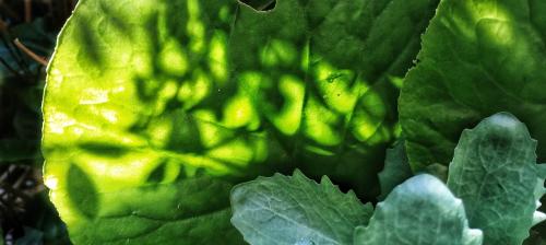 IMG_20240507_113958924-01