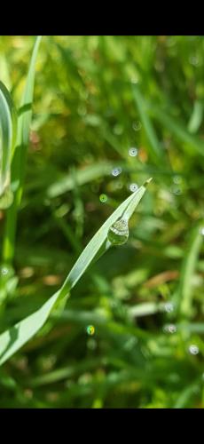 Screenshot_20240522_144529_Photos