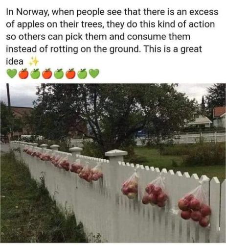 439831237_449203241014834_8281751445992138381_n