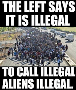 illegal immigration391