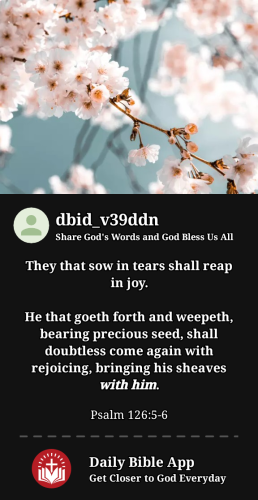 2024-05-301717052422421