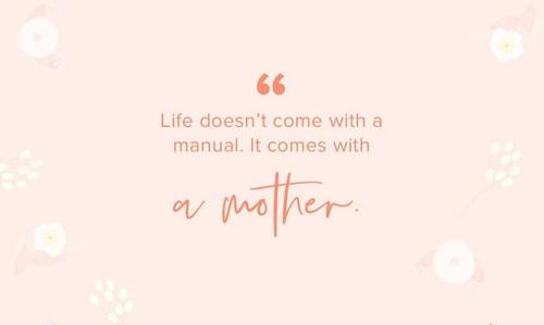 FB_IMG_1715175744028