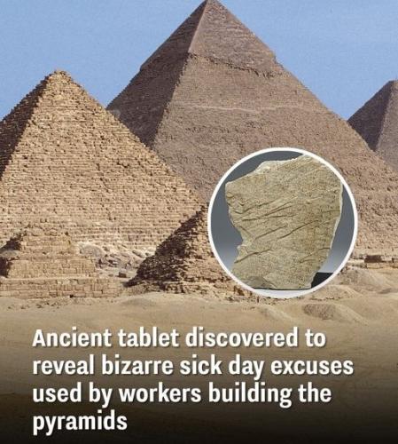 445220973_854626540042350_3535719019466943653_n