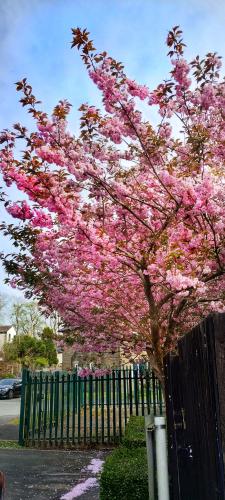 IMG_20240502_093020031_HDR-01