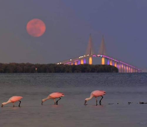 FB_IMG_1714568086636