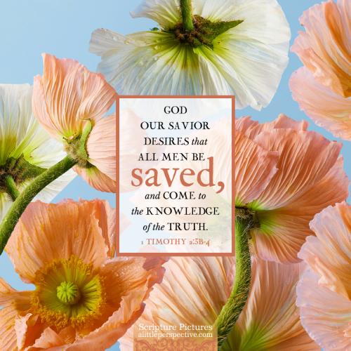 FAITH - 1 Timothy 2.3B-4 KJV