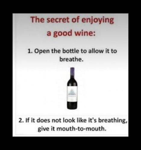 441939189_7962133373799039_1626880829704942343_n