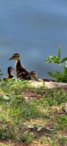 19:21:20 GMT-0500 (CDT)