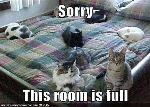 51be18041e788a1e77b60a91427cb54a