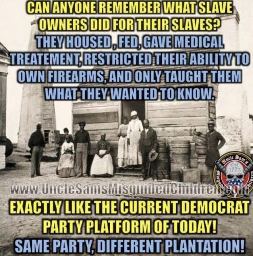 image_2349D6E7-54F4-4C82-8BF9-3B8E9510A61A