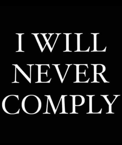 FB_IMG_1716472955342