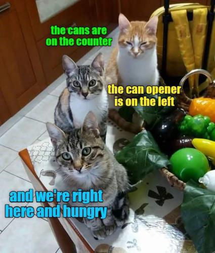 c3d03495203971f7f9f9ad0845239672