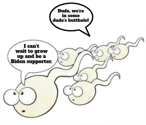Gender Fluid Biden Supporters