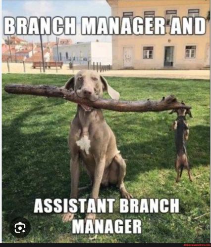 232396b18cb7c3a033f03155f0f19b38e79d8609a4492fa22db8d09c0d0f5ff1_1