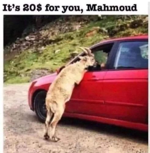 image_A6352DC7-04A6-40F5-B65F-6BD5637CDE33