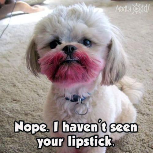 f63931c01004eeb0004c646bccaa11d8