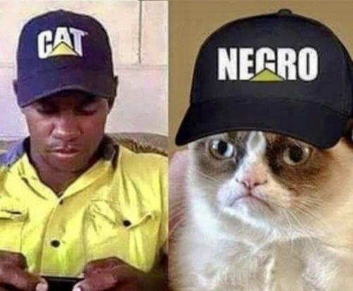 Screenshot_20240520-150646_Brave