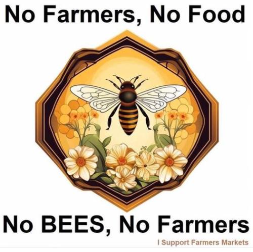 nobees