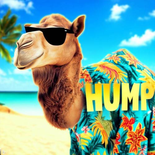 1-Hump Day
