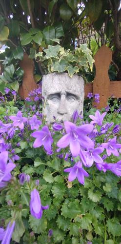 IMG_20240521_103824887-01