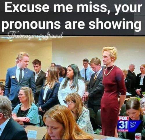 Dem Pronouns