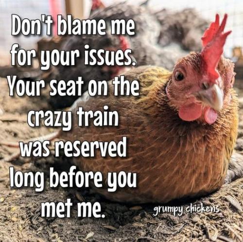 438256196_7961776887180129_6800170087786942655_n