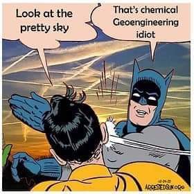 FB_IMG_1716399334024