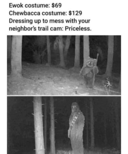 438300587_946031210857589_5897666196851395937_n