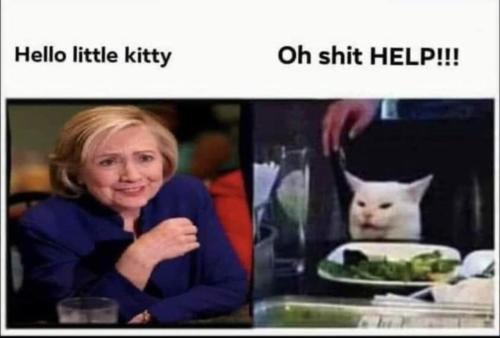 image_A48C8C92-9FF6-4D0C-83DF-D0470709436B