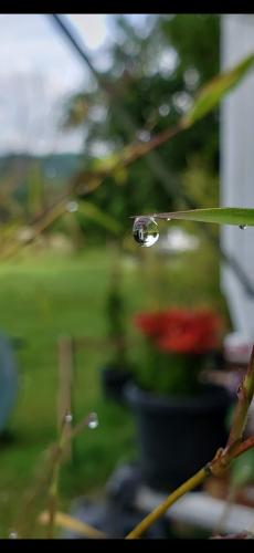 Screenshot_20240527_192609_Photos