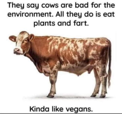 436253493_122128552094255153_224735225029636559_n