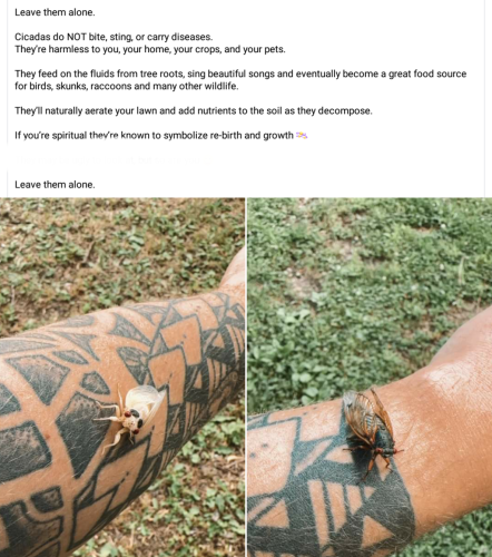 Screenshot_2024-05-28-00-33-04_kindlephoto-291962659