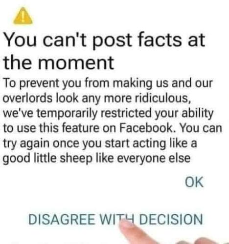 IMG_20240507_022805_685