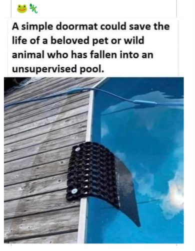 Screenshot_2024-04-30-14-33-58_kindlephoto-3169540