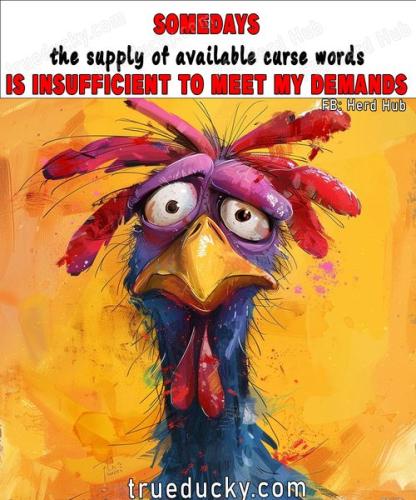 440875284_300715639745398_4817111953521544689_n