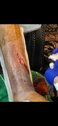 Screenshot_20240517_105249_Messages