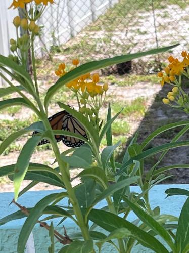 E03F5350-20DD-4E3C-9717-BD9E89B5C327