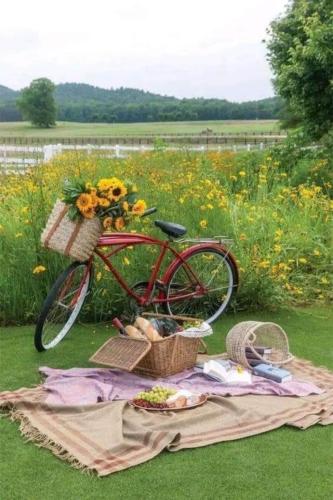 img-4a428b2d