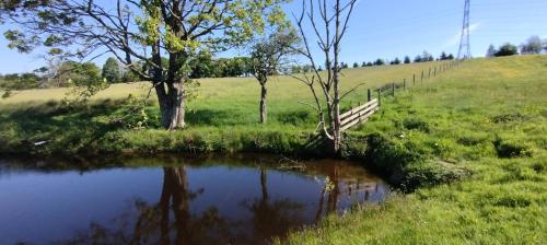 IMG_20240519_093500407