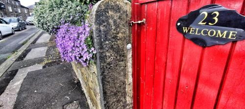 IMG_20240521_103813880-01-01